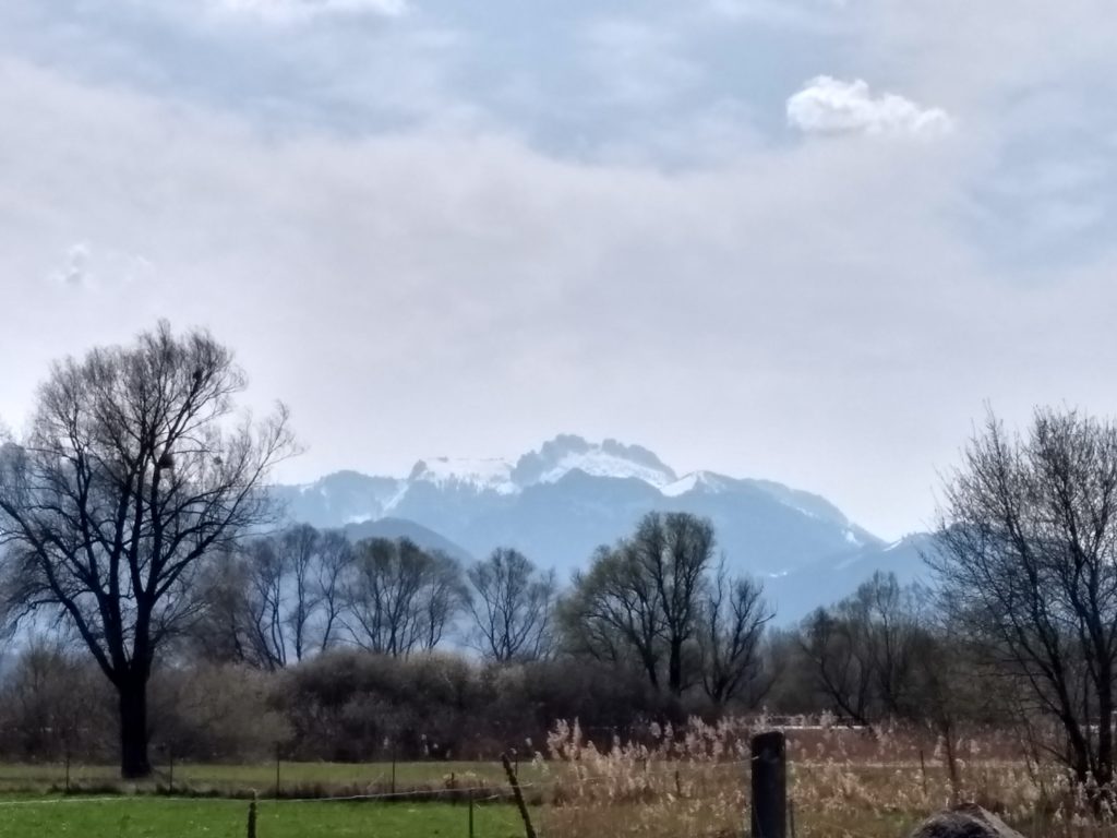 Frühlingserwachen Am Chiemsee Radweg Europe For Us 